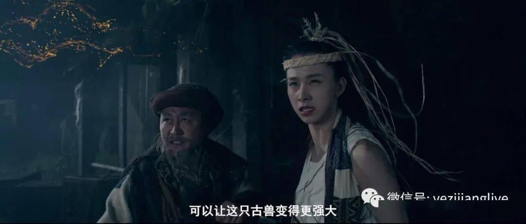 探索怎样养好母猪?,解答你的疑问